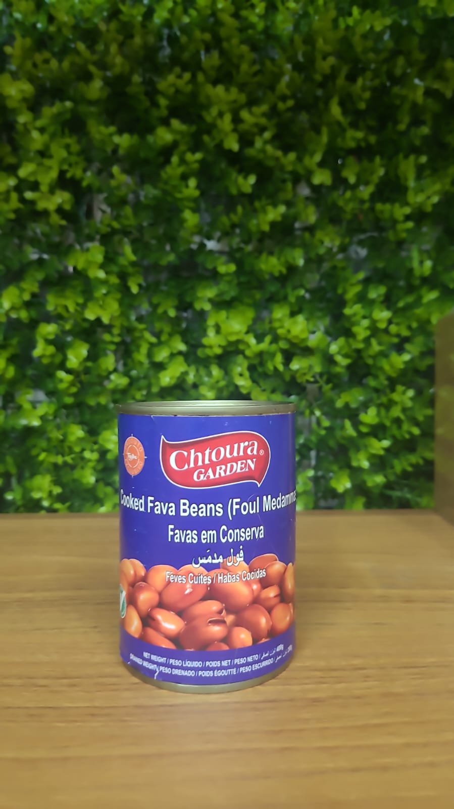 Fava em conserva Chtoura Garden