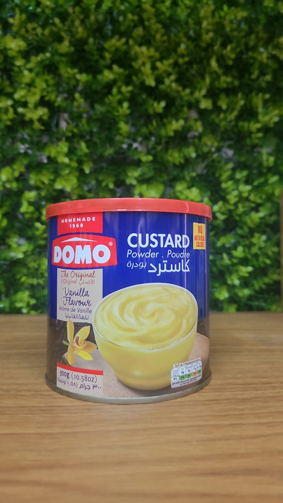 Castor- Custard Domo
