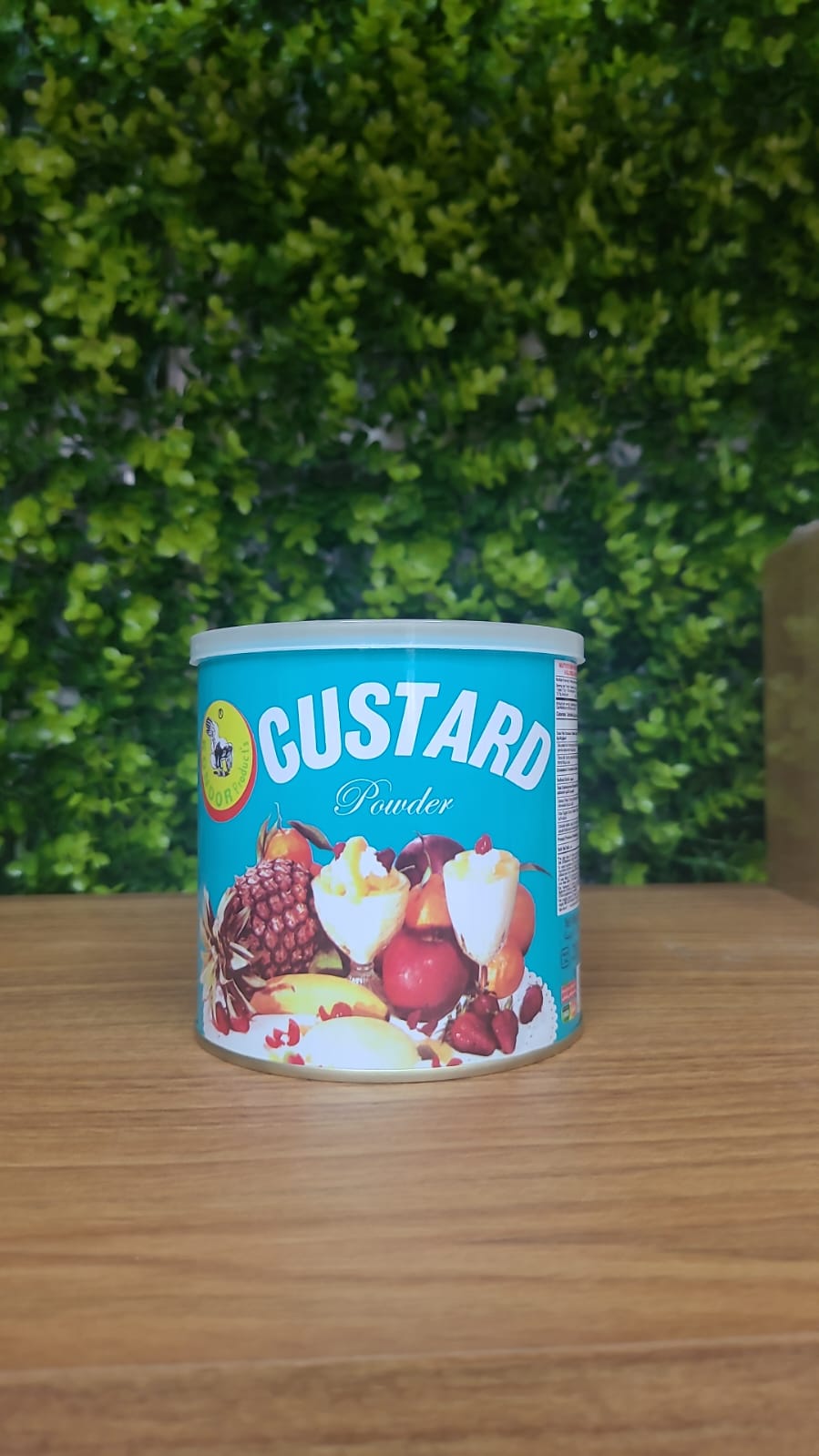 Castor- Custard KONDOR
